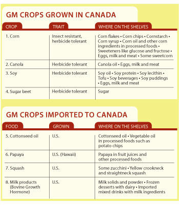 GM-Food-Chart-2012_large