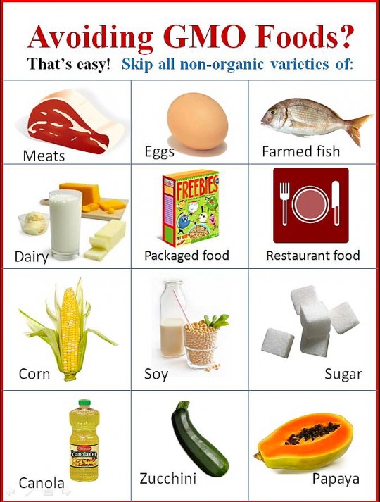 GMO-Foods